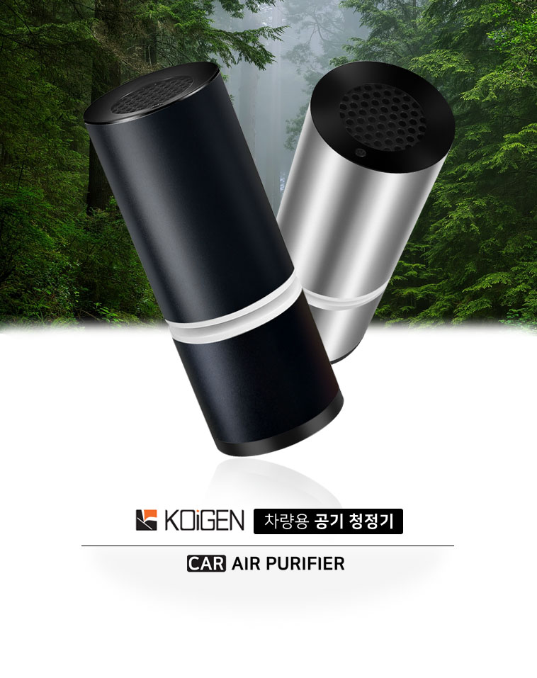 car_airpurifier_001.jpg